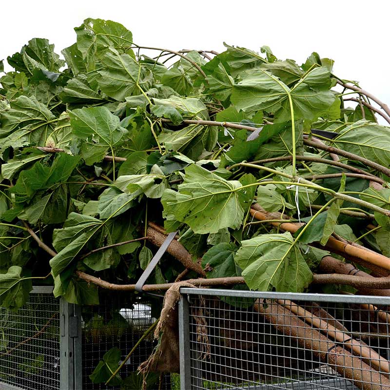 Cinghia a cricchetto con impugnatura rivestita in gomma da 1'' X 15' con ganci in filo rivestito in vinile